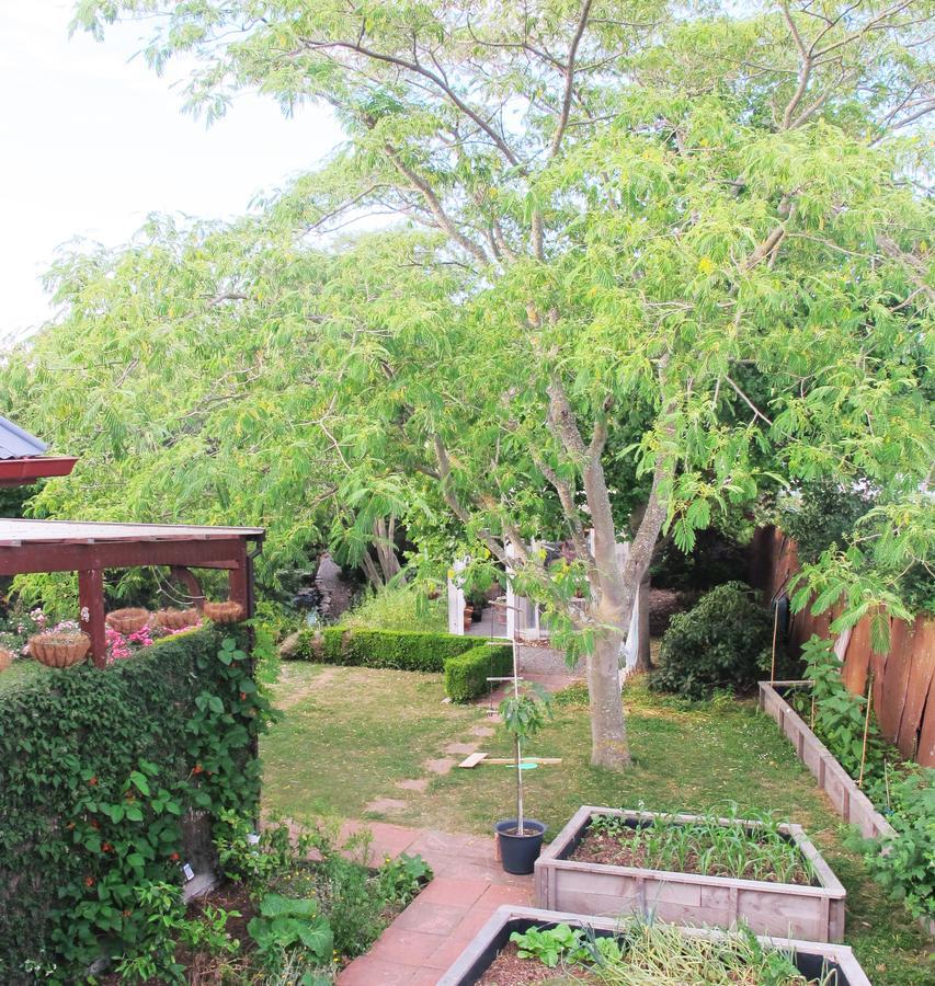 Bed and Breakfast The Old Vicarage Studio Amberley Екстер'єр фото
